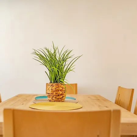 Prázdninový dům Bienvenido - Plusholidays